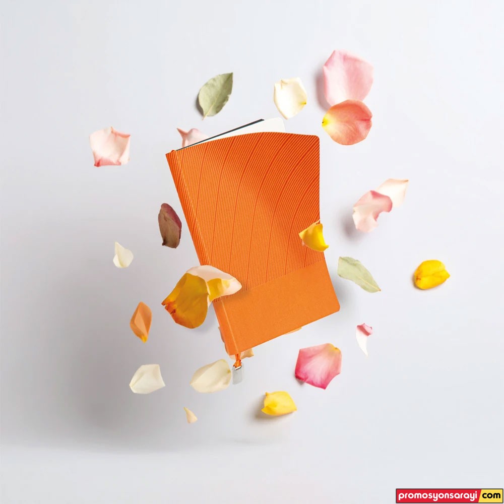 PSstinye Tarihsiz Defter
