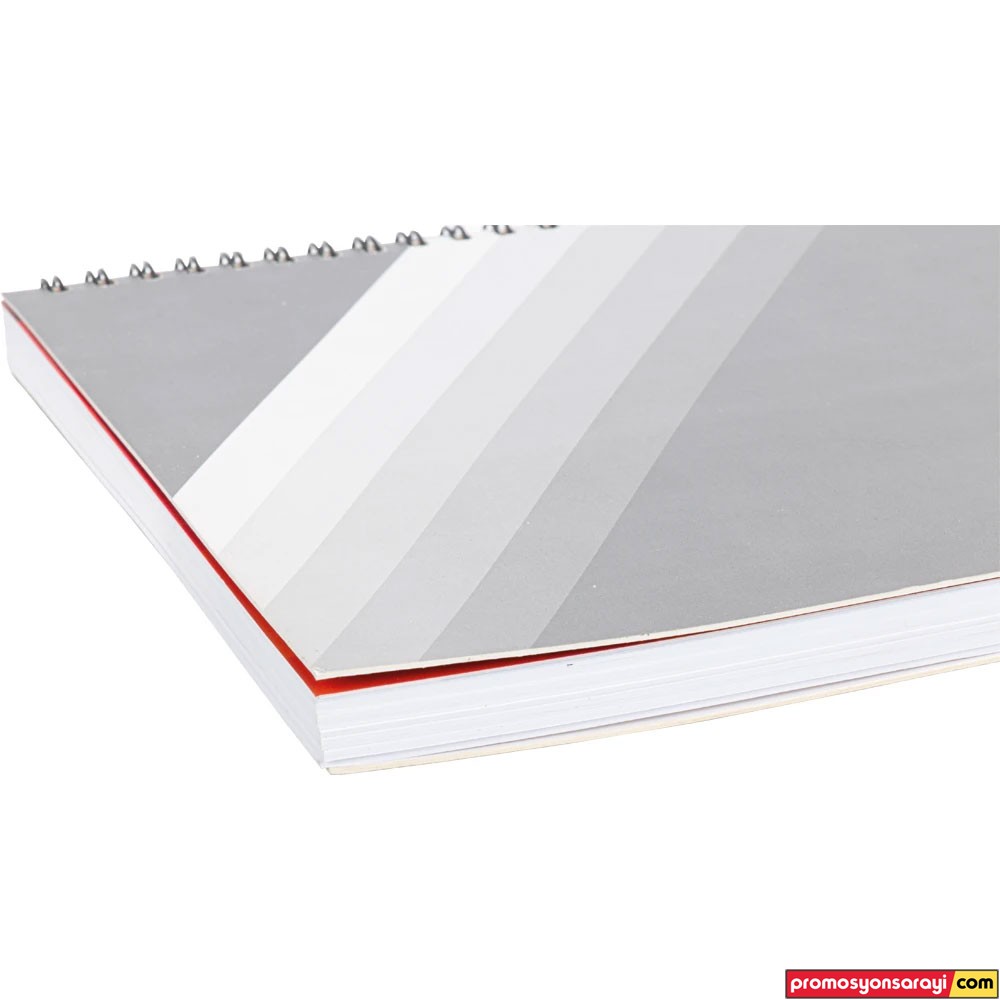 PSDFT-02 Svama Defter