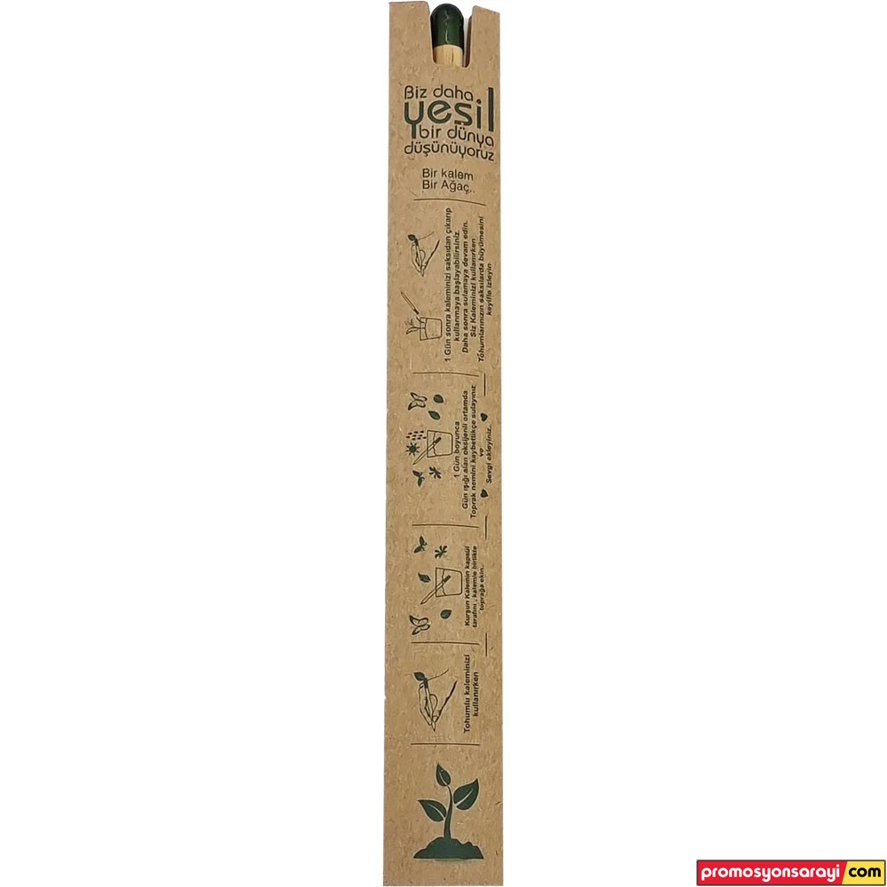 PS0522-80 Tohumlu Kurun Kalem